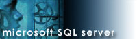Microsoft SQL Server Specialists